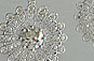 Art Deco Diamond Floral Style Diamond Earrings